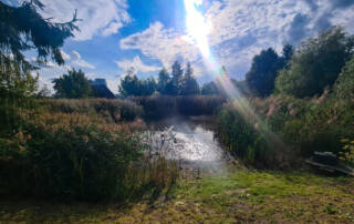 Dorfteich – Gästehaus am Teich Dorfteich – Gästehaus am Teich